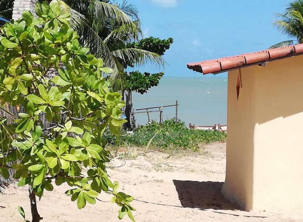 Lagoa Dos Coqueiros * Maracajau